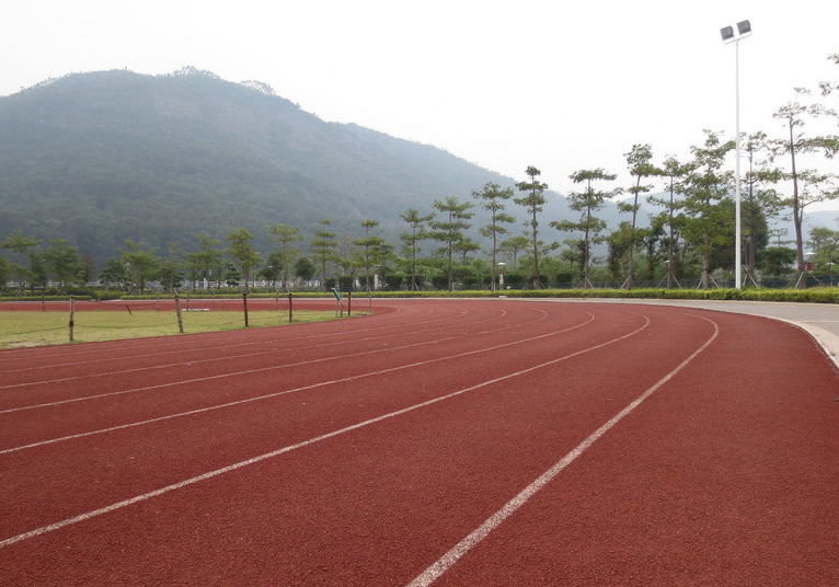 云南省曲靖市陆良县西片区小学2500平米